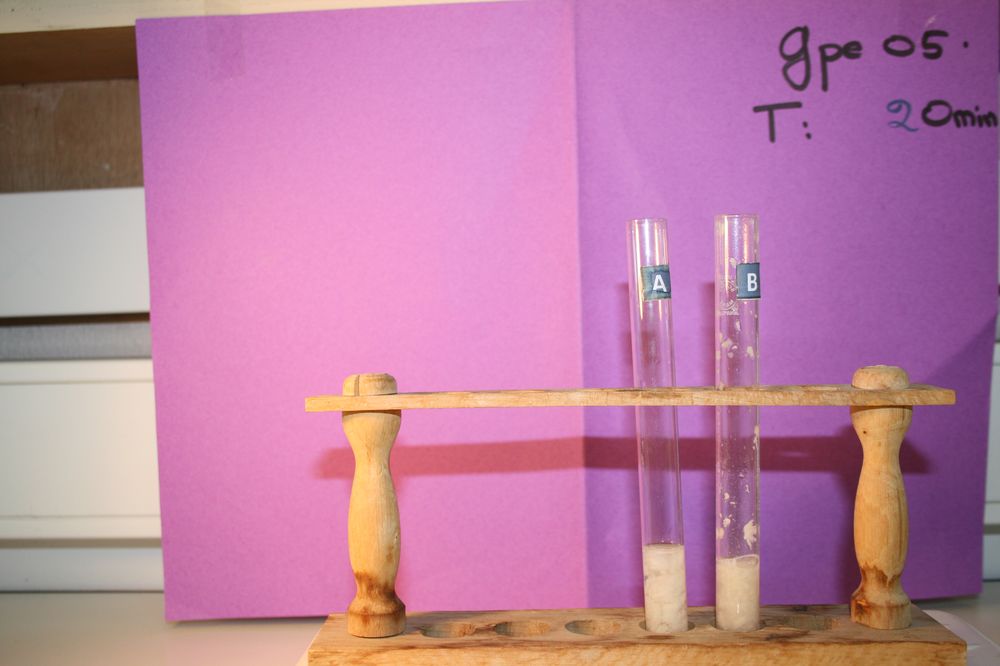 gal/LES_CINQUIEMES/ACTIVITE DIGESTION IN VITRO/Groupe_05/Groupe05_T_00h20min/Groupe05_T_00h_20min_2.JPG